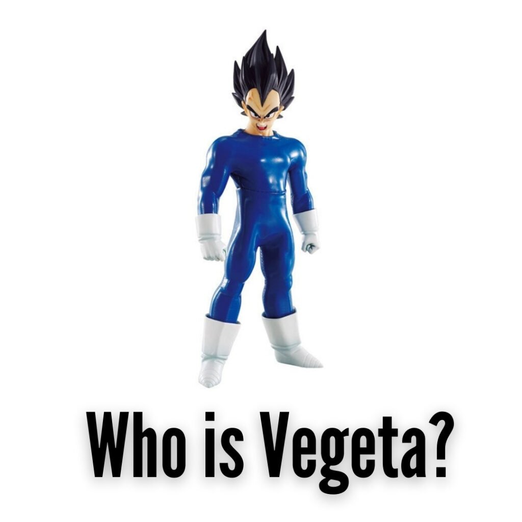 Who is Vegeta?
